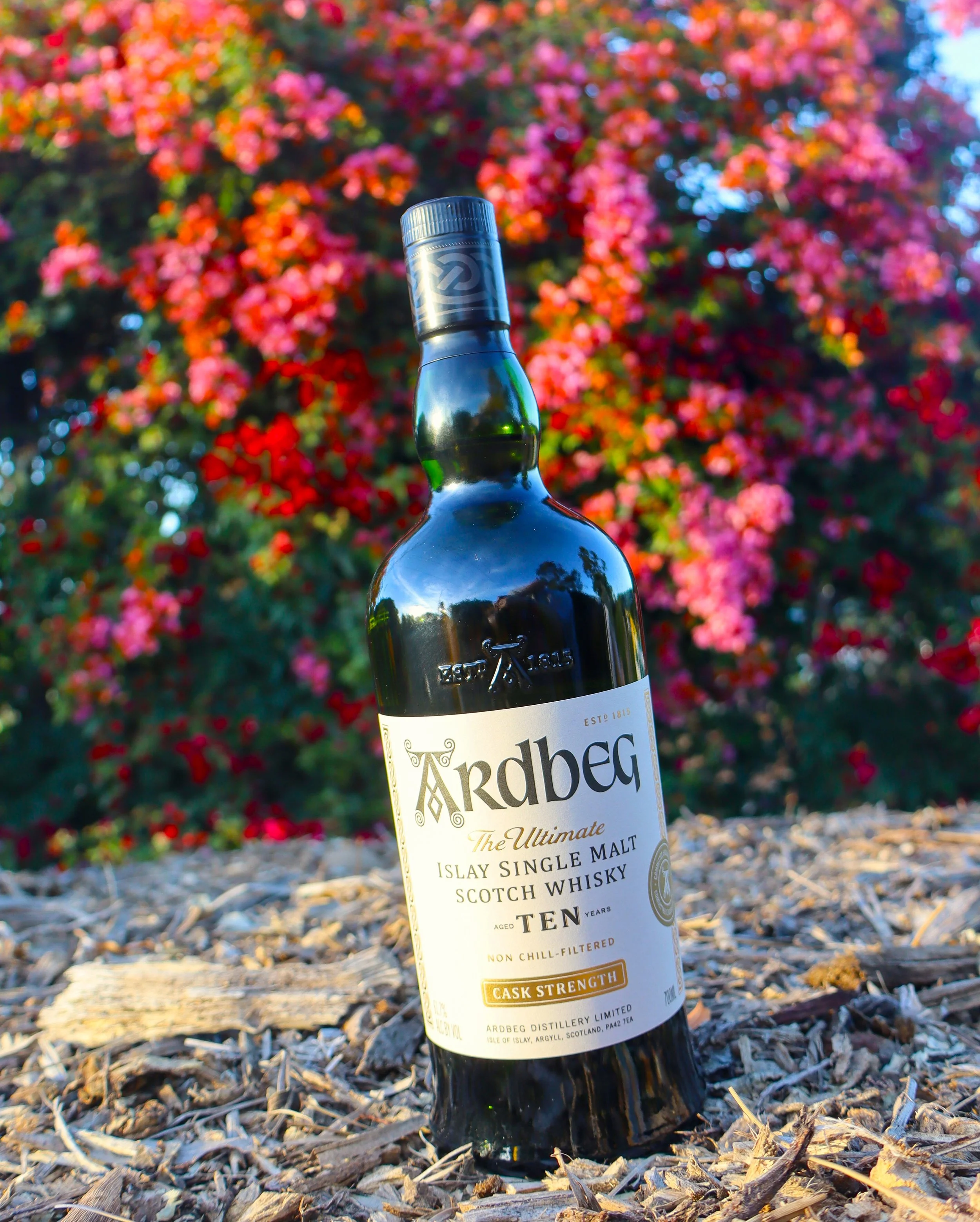 Ardbeg 10yo Cask Strength — Dramface